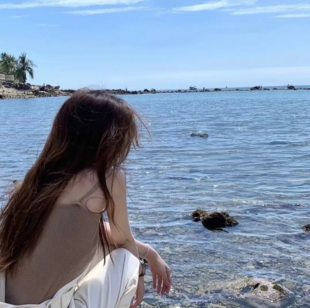 萌犬流浪记