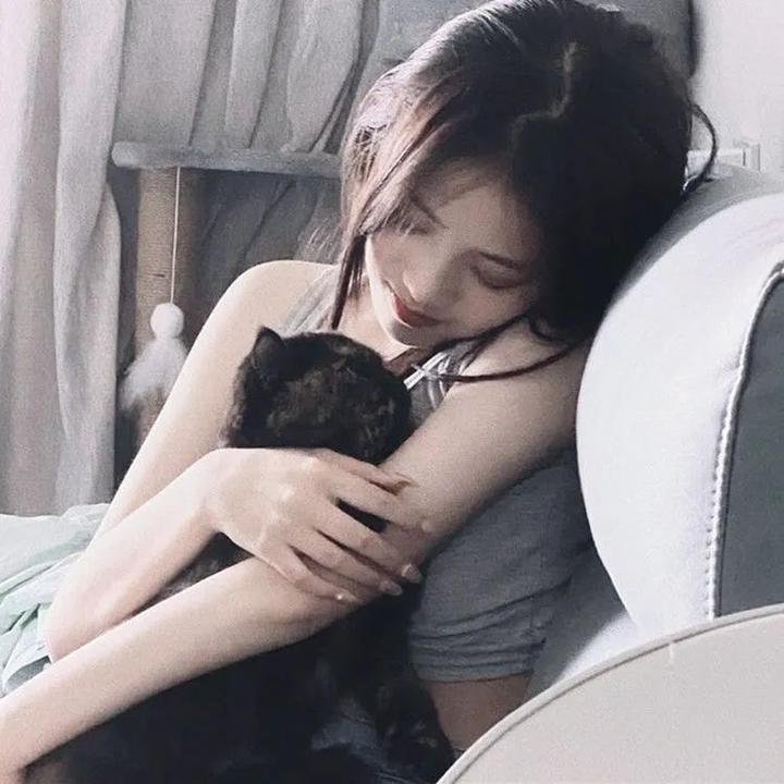 致亲爱的提奥
